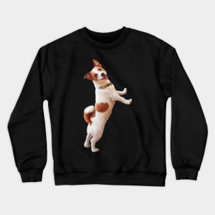 Jack Russell Terrier Crewneck Sweatshirt